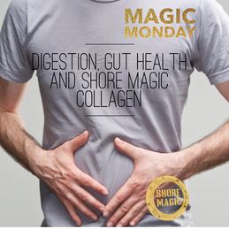 Digestion, Gut Health and Shore Magic Collagen