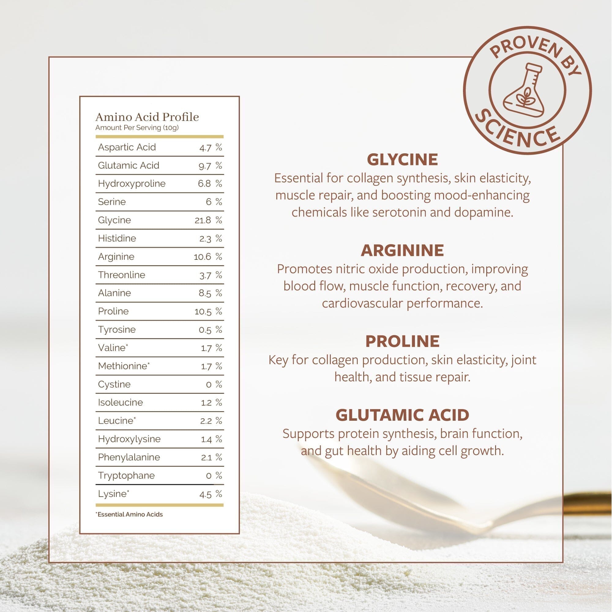 Shore Magic Starter Set Powder Shore Magic