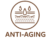 Shore Magic Marine Collagen Benefits Anti-Aging
