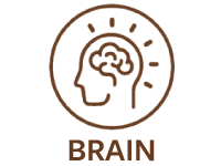 Shore Magic Marine Collagen Benefits Brain