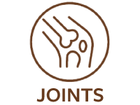 Shore Magic Marine Collagen Benefits Joints