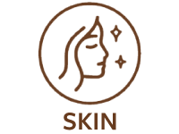 Shore Magic Marine Collagen Benefits Skin